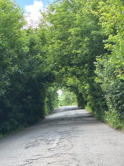 The image shows a rural road in Sighnal, Ukraine, lined with lush green trees that form an archway over the asphalt. The road is narrow and appears to be in a state of disrepair, with visible cracks and potholes. Sunlight filters through the dense foliage, creating dappled shadows on the road surface. The sky above is partially visible, with patches of blue and white clouds. The scene evokes a sense of tranquility and natural beauty, with the overarching trees creating a natural tunnel effect. There are no people or vehicles visible in the image.