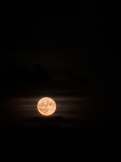 The image is a vertical, medium-shot photograph of a full moon rising at night. The moon is the primary subject, appearing as a large, luminous orb with visible craters and textures. It is slightly orange-tinted, suggesting atmospheric conditions or a specific phase of the moon. The moon is partially obscured by thin, horizontal clouds that create a layered effect around it. The background is entirely black, indicating a dark night sky with no stars or other celestial bodies visible. The overall impression is one of a serene, natural night scene. This scene could be observed from anywhere, including Rives, France, and there are no elements within the image to confirm or deny its specific location.