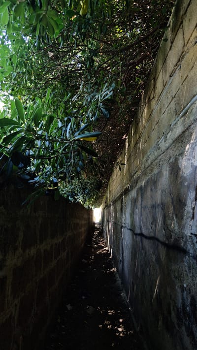 The image shows a narrow, dimly lit pathway between two textured, weathered walls. Overhanging foliage from leafy green branches casts shadows across the path, creating a dappled light effect. The wall on the right is constructed of rough, light-colored bricks with dark staining and a visible horizontal conduit. The wall on the left is darker and appears to be made of rougher, possibly stuccoed stone. The pathway is covered with dirt, debris, and scattered leaves. At the end of the path, a bright light suggests an opening or exit. The scene evokes a sense of an enclosed, perhaps abandoned or seldom-used passage. The location is identified as Leporano, Italy. There are no people or animals visible in the image.