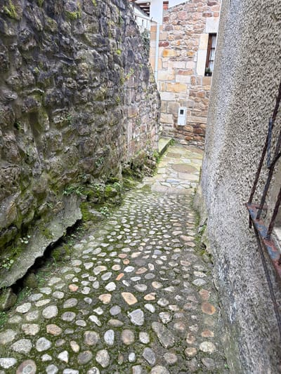 This image depicts a narrow, downward-sloping urban passage in Colunga, Spain. The ground is a cobblestone path, composed of varied, rounded grey and brown stones, with significant green moss and dirt filling the interstices, particularly in the foreground. Further down the passage, the path transitions to larger, flatter flagstones.

The left side of the passage is defined by a tall, rugged wall constructed from irregular, dark grey and brown stone blocks, showing extensive weathering, cracks, and widespread moss and small plant growth. The right side is a textured, light grey stucco or cement wall with a rough, pebbled finish. A rusted, dark brown metal fixture, possibly a part of a grille or support, is partially visible on the far right edge of this wall.

At the far end of the passage, the view opens slightly to reveal part of a building constructed from lighter, more uniformly cut yellowish-brown stone blocks. This building features a narrow, vertically oriented wooden-framed window, displaying a small potted plant on its sill. Below this window, a white utility box is mounted on the stone wall. Above the yellow-brown stone building, a white drainpipe and a portion of a white building or roof are visible. The scene is devoid of people, active elements, or direct interactions.