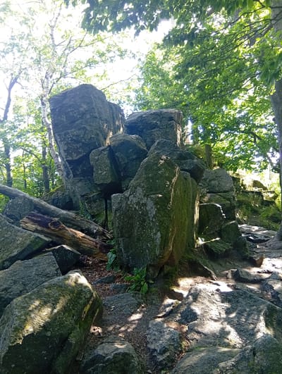 The image depicts a natural scene characterized by large, moss-covered rocks and lush green trees, suggesting an outdoor environment within a forested area. Sunlight filters through the dense canopy of leaves, casting dappled shadows on the rocks and the ground below. The terrain appears uneven, with a path or trail winding through the rocks and fallen logs. The presence of a white birch tree with smooth bark adds a distinct element to the flora. The overall impression is one of a serene, somewhat wild, natural landscape. This specific scene is located in the "Kamieniołom z Górką i Zbójnicką Jamą" geological area within the city of Sobótka, Poland.