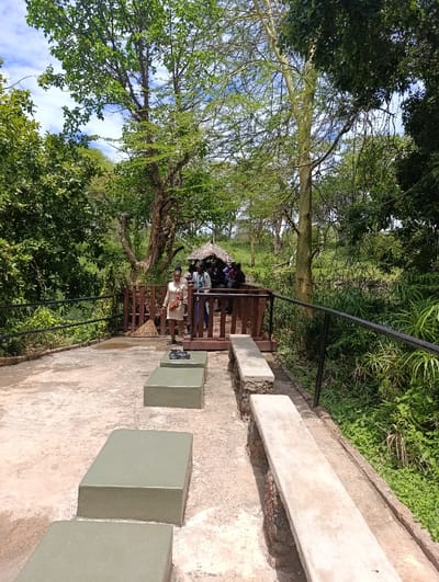 The scene is a paved viewing platform in Tsavo North National Park, Kenya, located at coordinates -2.985 latitude and 38.022 longitude.  A group of people, including one woman wearing a white shirt and khaki pants, stand on a wooden platform behind a black railing. They appear to be looking at something in the distance. The platform is elevated above a paved area with a series of concrete benches. The ground is dirt and gravel, and the scene is surrounded by lush green trees and shrubs.  The sky is mostly clear with a few clouds.