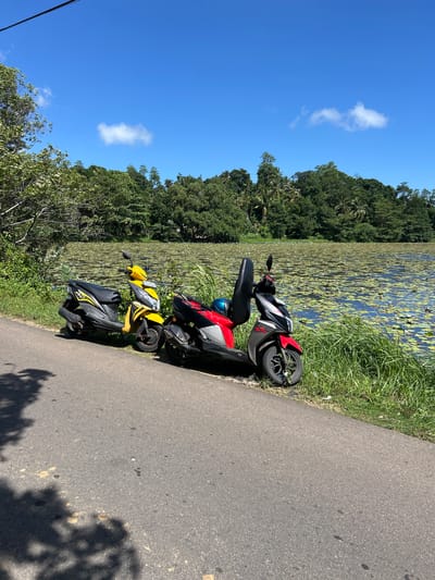 A bright, sunny day in Moodugamuwa, Sri Lanka, is depicted in this photograph. Two scooters, one yellow and black, and the other red and silver, are parked side-by-side on the asphalt edge of a road. Beyond the road, a lush green grassy embankment slopes down to a tranquil lake. The lake's surface is covered with a dense carpet of lily pads, interspersed with patches of open blue water. In the background, a dense forest of various green trees, including palm trees, creates a verdant backdrop against a clear, vibrant blue sky dotted with a few wispy white clouds. The overall scene suggests a peaceful and scenic natural environment.