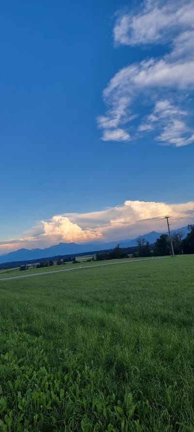 The image captures a wide view of a rural landscape under a bright blue sky dotted with white clouds. In the foreground, a lush green field of grass dominates the lower half of the frame. The grass appears well-maintained and healthy, with some larger leaves visible at the very bottom. A paved road runs diagonally across the middle ground, separating the foreground field from a more distant landscape.
Beyond the road, the land is a patchwork of green fields and scattered trees, leading towards a range of mountains in the far distance. The mountains are shrouded in a soft blue haze, suggesting their considerable distance.
A prominent feature in the sky is a large, dramatic formation of white and light pink clouds, illuminated by the setting sun or late afternoon light. These clouds appear to be cumulonimbus, with a towering, cauliflower-like structure. A lone utility pole with wires is visible on the right side of the frame, silhouetted against the sky and the distant scenery.
The overall impression is one of a serene and expansive rural setting, possibly in the vicinity of Höslwang, Germany, given the characteristic landscape of rolling hills, distant mountains, and agricultural fields. There are no people or animals visible in the image.