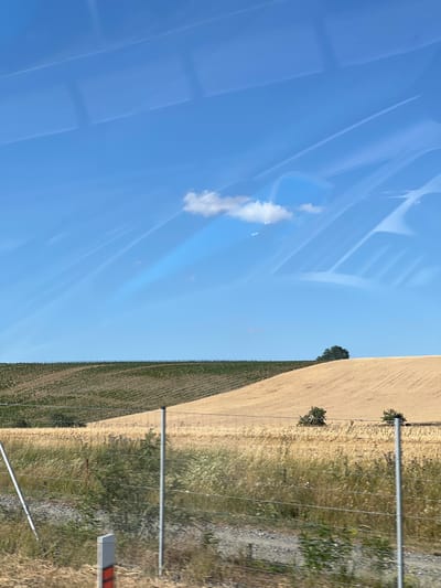 A wide-angle vertical photograph captures a rural landscape in Starovičky, Czechia, under a bright blue sky filled with wispy contrails and a single fluffy white cloud. The sky dominates the upper half of the frame. The lower half presents a rolling countryside divided into distinct agricultural fields. In the middle ground, a large field of golden, ripe wheat stretches across the frame, its surface textured by rows of harvested crops. Behind the wheat field, a hillside is covered in a darker green crop, possibly vines or a different type of grain, planted in neat rows that follow the contour of the land. A few scattered trees dot the landscape, including a single larger tree on the crest of the hill between the wheat and green fields. In the foreground, a wire fence with metal posts runs horizontally, separating the viewer from the fields. Beyond the fence, dry, tall grass and some gravelly ground are visible. A small red and white marker post is also present near the fence. The overall scene depicts a sunny day in a cultivated agricultural region.