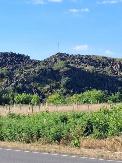 The image depicts a rocky hillside with sparse vegetation in Malishka, Armenia. In the foreground, a road borders a field with numerous wooden stakes and green foliage. The hillside is covered in dark, irregular rocks, with patches of green trees and bushes interspersed. The sky above is a clear blue with a few scattered white clouds. A thin, vertical pole is visible on the crest of the hill.