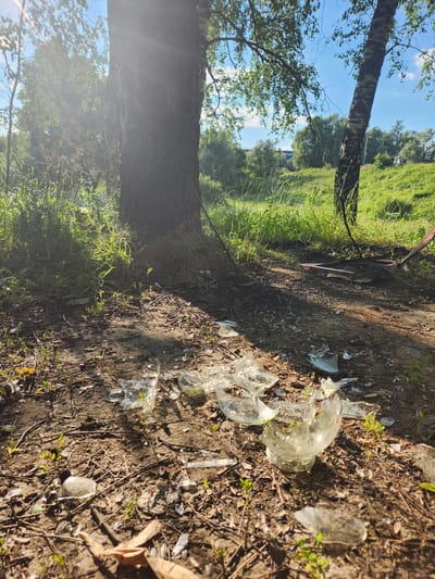 This media file depicts a scene of nature with visible signs of human impact. The primary subjects are the natural environment, characterized by a grassy hillside, trees, and a dirt path, and shattered glass bottles strewn across the ground.
The scene appears to be an outdoor setting, likely a wooded or park-like area. The presence of a large tree trunk in the foreground, with its bark clearly visible, suggests a natural environment. The ground is covered with dirt, dry leaves, and small green sprouts, indicating a potentially dry or late-season condition. A significant detail is the presence of broken glass, some of which appears to be from clear bottles, scattered among the natural elements. This suggests an act of littering or vandalism.
The lighting and shadows in the image suggest it was taken during the daytime, with the sun casting distinct shadows across the ground. The sky, visible in the upper portion of the image, appears to be a clear blue with some white clouds, indicating fair weather. The overall mood is one of environmental neglect juxtaposed with the beauty of nature.
There is no visible text in the image. The location context provided is Yudino, Russia, which could imply a rural or suburban fringe area where such littering might occur. No people are visible in the media file. The activity, if any, is implied to be past - the act of breaking and discarding the bottles has already occurred, leaving the aftermath.