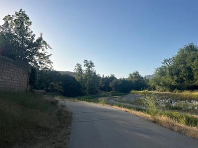This photograph shows a paved road leading into a wooded area in Agoura Hills, California, United States. The sky is clear and blue. The road curves slightly to the right. A brick wall is on the left, with trees and greenery behind it. The ground alongside the road is covered in dry grass and vegetation. A dry creek bed runs alongside the right side of the road. Trees are visible in the distance, with a mountain visible behind them.