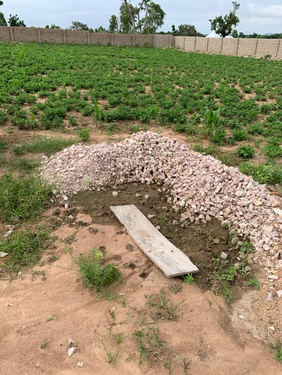 In Senti, Nigeria, a pile of crushed light-colored rocks, appearing to be construction aggregate, sits in a clearing on sandy soil. The pile is roughly conical, with a wooden plank laid across a section of it, partially obscuring the rocks and the damp ground beneath. The area around the rock pile is sparsely vegetated with small green plants and tufts of grass. In the background, a neat field of young green crops, possibly peanuts and corn, stretches towards a low, light-colored brick wall that encloses the agricultural area. Trees are visible beyond the wall, and the sky is overcast with scattered clouds. The scene depicts an outdoor construction or landscaping area adjacent to a cultivated field.
