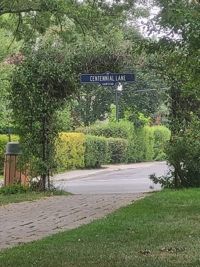 The image displays a static outdoor scene on Centennial Lane in Hampstead, Canada. A dark blue street sign with white lettering, reading "CENTENNIAL LANE" prominently and "HAMPSTEAD" below it, is centrally positioned on a dark pole, suspended within a dense canopy of green foliage that forms an overhead arch. In the foreground, a light-colored, brick-patterned sidewalk or paved path extends from the lower left towards an asphalt road in the mid-ground. A single solid white line is visible on the asphalt road to the left. To the immediate left of the path, a brown cylindrical waste bin with a dark gray domed lid is partially visible behind a small tree. Across the road, a long, manicured hedge row, predominantly green with some yellowish sections, forms a continuous barrier, backed by additional dense green trees and shrubs. The lower right foreground is covered by green grass. No individuals or active elements are present.