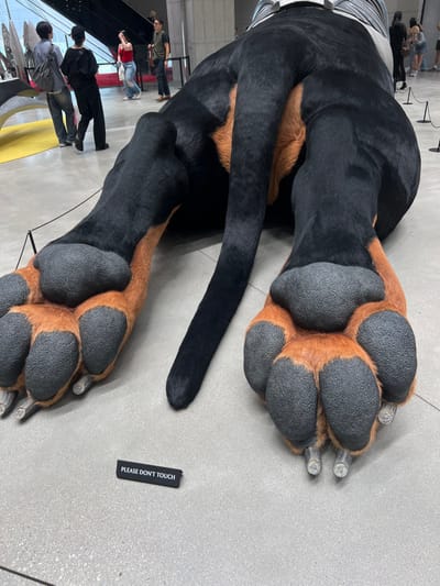 An oversized sculpture depicting the posterior half of a black and tan Doberman-like dog is positioned on a light gray floor within an exhibition space in 성동구, South Korea. The sculpture lies prone, showcasing textured black fur with tan markings on the underside, prominent black, textured paw pads, and a long black tail. Small clear, cylindrical supports are visible beneath the paw pads. A black sign on the floor between the hind paws reads "PLEASE DON'T TOUCH" in white capital letters. In the background, multiple individuals are observed circulating through the modern, spacious interior with concrete flooring and high ceilings. A thin black rope barrier partially delineates the exhibit area, and other artistic installations are partially visible on the left.