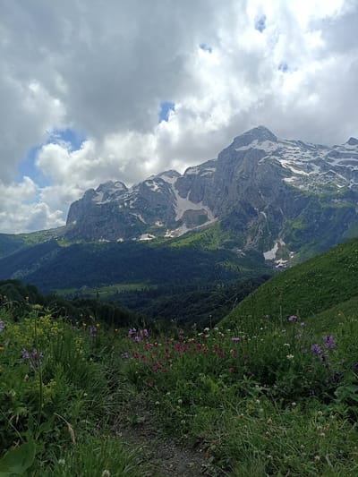 The image depicts a mountain landscape with a cloudy sky. In the foreground, there is a path winding through a meadow filled with various wildflowers in shades of pink, purple, and yellow, interspersed with tall green grasses. Beyond the meadow, a dense, dark green forest covers the slopes of rolling hills. Further in the distance, majestic mountains rise, their peaks partially covered in snow and rock. The overall scene suggests a natural, remote environment, possibly in the mountainous region of Chigursana, Russia. There are no people or specific actions visible in the image.