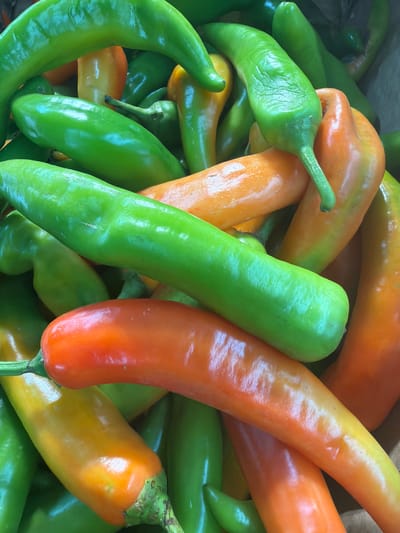 A close-up shot displays a collection of long, slender peppers, predominantly green and orange in color. The peppers are densely packed together, creating an overlapping arrangement. The texture of the peppers is smooth and glossy, with some showing subtle variations in color, like gradients from green to orange. The stems of the peppers are visible, adding to the naturalistic feel of the image. The setting appears to be outdoors, likely in Kadima-Zoran, Israel, based on contextual information, possibly during a harvest or at a market. No people are visible in the frame.