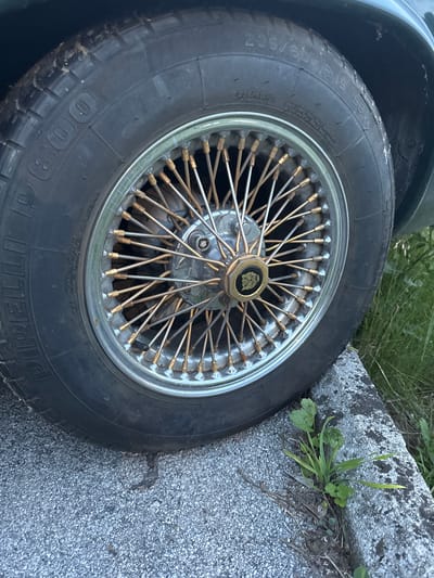 A close-up, angled photograph captures the front or rear left wheel of a dark green Jaguar vehicle. The wheel features a chrome-plated rim and numerous wire spokes, predominantly brass-toned with some silver accents, radiating from a central hexagonal hub nut. The hub's center bears a circular emblem depicting a black jaguar head in profile on a golden background. The tire is a black Pirelli P800 radial tubeless, size 235/60 R 15 96W, with visible tread and minor dirt accumulation on its sidewall. The tire rests on a dark gray asphalt or gravel surface. Adjacent to the tire, a light gray concrete curb is visible, with green grass and small leafy plants growing in the crevice between the curb and the asphalt, as well as behind the curb. Dried organic debris is present on the asphalt near the curb. The scene is located in the city of Laško, Slovenia.