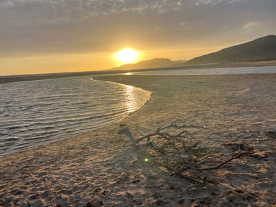 This is a photograph of a beach at sunset. The sun is setting behind hills on the horizon, casting a warm glow over the scene. The sky is a pale yellow with some scattered clouds. In the foreground, there is a sandy beach with some driftwood. A body of water, possibly a river or lagoon, is separating the beach from the sea. The water is calm and reflects the light of the setting sun. There are a few small figures walking on the distant shore. The image appears to have been taken from a low angle, emphasizing the vastness of the sky and the ocean. The location is likely within the city of Tarifa, Spain, known for its beaches and proximity to the Strait of Gibraltar, which would explain the presence of the sea and the hilly terrain.
