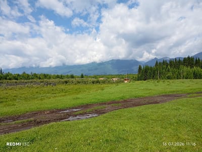 The image depicts a rural landscape in Khurai-Khobok, Russia, on July 16, 2026, at 11:16 AM. The foreground is dominated by a grassy field with a muddy track cutting through it, featuring several puddles. In the mid-ground, a wooden fence encloses a pasture. Beyond the pasture, a line of dense green trees forms a natural border. In the distance, the majestic, mist-shrouded peaks of mountains rise, their slopes covered in a mix of trees and green vegetation. The sky above is a dramatic canvas of blue interspersed with large, white cumulus clouds. A few small, wooden structures are visible nestled amongst the trees in the mid-ground. The scene conveys a sense of natural beauty and agricultural activity.