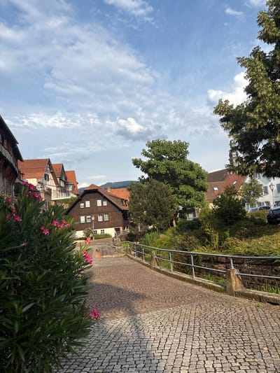This image depicts a picturesque street scene in Gernsbach, Germany. The view is angled, looking up from a lower vantage point towards buildings and the sky. The foreground is dominated by a lush green bush with vibrant pink oleander flowers in bloom. To the right, a cobblestone pathway, typical of European old towns, slopes upwards, bordered by a metal railing and a stone wall.
Beyond the pathway, traditional German architecture is visible. A prominent, multi-story wooden house with a red tile roof and numerous white-framed windows stands out. To its left, other houses with red tiled roofs, some with exposed timber framing and white plaster, are clustered together. The backdrop reveals rolling green hills and mountains under a partly cloudy blue sky, suggesting a pleasant day, likely late morning or afternoon given the lighting.
There are no people or specific activities visibly taking place, giving the impression of a quiet, charming town atmosphere. The overall mood is serene and inviting, highlighting the rustic beauty of the historic German setting. The clean air and natural greenery suggest a pleasant, perhaps warm, season. No discernible text is present in the image.