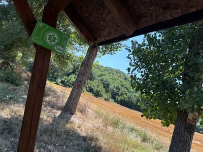 The image depicts an outdoor scene in Pravdino, Bulgaria, under a clear blue sky. The foreground features a wooden structure, possibly part of a shelter or an informational kiosk, with a green first-aid kit attached to a wooden support beam. This kit bears Italian writing and a medical symbol. To the left of the structure, a large tree trunk is visible, also a wooden post.
In the midground, a field of dry, golden grass or crop stretches diagonally across the scene. Two trees stand within this field. The tree on the left has a colorful circular emblem attached to its trunk. The tree on the right has a small framed picture or religious icon affixed to its bark.
The background consists of a densely wooded hillside, suggesting a rural or natural setting. The overall impression is one of a remote or nature-oriented location, potentially a hiking trail or a rest stop. No people are present in the image. The lighting indicates it is daytime, with shadows cast by the wooden structure and trees, implying the sun is positioned to the right.