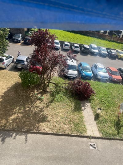 The image depicts an outdoor scene in the city of Vénissieux, France, likely in a residential or commercial parking area adjacent to a grassy slope and a building. In the foreground, a paved asphalt surface is visible, with a drain cover embedded in it. To the left, a patch of dry, brown grass with significant tree shadows is present. A sidewalk made of stone pavers runs horizontally across the mid-ground.

A prominent feature is a tree with deep red foliage. A significant portion of this tree, including branches and leaves, has fallen onto the sidewalk and the grass. Adjacent to this fallen tree is a small green bush with white flowers.

Several cars are parked in a line on the paved area behind the sidewalk. The cars are of various colors, including silver, black, blue, white, red, and yellow. Among them are passenger vehicles and a white van. One silver car is parked closest to the viewer, and a red car is visible behind it. A person, appearing to be a woman wearing a white top and dark pants, is standing near the silver car, holding a small device. Another person, partially visible at the bottom right, is wearing shorts and sandals.

In the background, a grassy slope rises, leading to a low wall. Beyond the wall, a line of buildings with dark facades and horizontal elements is visible, suggesting urban development. The sky above is a vibrant blue with some light cloud formations. The overall impression is a daytime scene under clear skies, with evidence of a fallen tree branch impacting the landscape.
