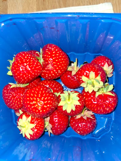 A close-up, top-down shot shows a bright blue plastic container filled with ripe strawberries. The strawberries are a vibrant red, with visible seeds dotting their surface and green leafy tops. Some of the strawberries are clustered together, while others are more spread out, creating a visually appealing arrangement. The blue container has a ribbed texture on its interior walls, and a white cloth or paper is partially visible at the top edge of the container, draped over a wooden surface. The lighting appears to be natural, casting subtle shadows and highlighting the glossy texture of the strawberries. The scene is static, with no discernible action taking place. The location in Åsgårdstrand, Norway, is not visually represented in the image itself; it is an external piece of information provided about the context of the photograph.
