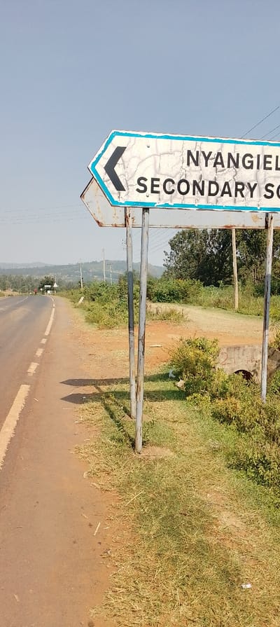 The image displays a roadside view in South Kasipul ward, Kenya, under a clear, light blue sky, indicating midday or early afternoon based on the short shadows. A white, hexagonal road sign with a faded blue border and a black left-pointing chevron is prominently positioned on the right side of the frame. The sign displays the text "NYANGIEL" on its upper line and "SECONDARY SC" (likely "SECONDARY SCHOOL") on the lower line. The sign's surface shows significant cracking and peeling paint, and its supporting metal poles are rusted and discolored.

To the left of the sign, an asphalt or paved road, light brown-grey in color, features a dashed white line along its right edge. The road recedes into the distance, curving to the left. The immediate roadside on the right consists of a dirt shoulder transitioning into sparse, dry grass and patches of green and yellowed bushes. A concrete drainage culvert, bearing the numbers "2-1-", is partially visible beneath vegetation near the base of the sign on the right.

In the far distance along the road, a small, indistinct figure, possibly a person, is visible near another roadside sign. Rolling, green-brown hills form the distant horizon, and multiple utility poles with overhead lines are discernible along the road and in the background. No discernible actions or interactions are occurring in the immediate foreground.