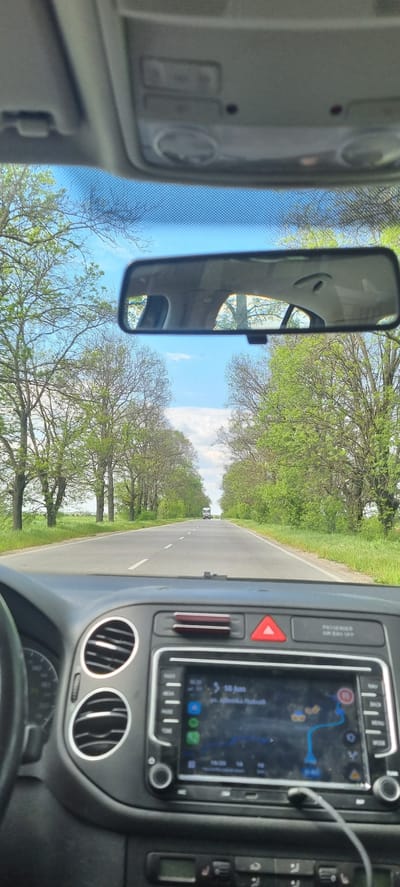 The view from inside a car traveling on a road lined with trees. The car is on a paved road with a white line down the center. There is a vehicle in the distance. The car has a rearview mirror, overhead console, dashboard with a navigation screen, air vents, and a steering wheel. The navigation screen shows a route. The trees are green and leafy. The sky is blue with white clouds. The location is Pishurka, Bulgaria.