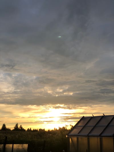 The image depicts a rural landscape in Nemtsovo, Russia, during what appears to be sunset. The sky is filled with a dramatic display of clouds, with the sun’s golden light breaking through, creating a warm and ethereal atmosphere. The setting is likely an open field or meadow, bordered by a dense line of trees silhouetted against the bright sky. To the right of the frame, a structure, possibly a shed or a covered area with a sloped, metallic roof, is partially visible. The overall mood is serene and tranquil, characteristic of a peaceful evening in the countryside. The time of day is clearly sunset, given the low angle of the sun and the rich colors in the sky. There is no visible text in the image.