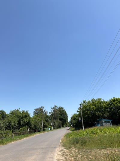 This is a vertical, eye-level, outdoor shot of a road curving to the right and disappearing into the distance. The road is paved and lined with tall green grass and trees on the left. Power lines stretch across the clear blue sky, supported by wooden poles. On the right side of the road, there is a small, colorful bus stop shelter adorned with what appears to be floral or nature-themed artwork. Faint text is visible on the shelter, possibly a place name. The time of day is daytime, suggested by the bright sky and clear visibility. The weather appears to be fair and sunny. The overall scene depicts a rural or semi-rural setting, likely in Novosilka, Ukraine, on a clear day.