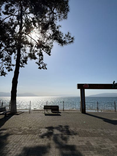 A sun-drenched scene at a lakeside promenade in Iznik, Turkey, is captured in this image. On the left side of the frame, a large, dark-silhouetted pine tree stands prominently, its branches and needles creating an intricate pattern against the sky. The sun is visible peeking through the tree's dense foliage, casting a bright lens flare and backlighting the entire left half of the image.

To the right, a paved promenade made of interlocking stone blocks or cobblestones stretches into the distance. Long, dark shadows are cast across the pavement, suggesting either early morning or late afternoon. A wooden park bench rests on the promenade, facing the water.

Separating the promenade from the expansive body of water is a metal railing. The water surface, likely Lake Iznik, shimmers brightly with countless reflections from the sun, creating a sparkling effect. In the mid-ground, a distinctive wooden signpost stands on the promenade. The sign clearly displays the word "cittaslow" in a decorative font, accompanied by a red and white stylized snail logo, identifying Iznik as a member of the international Cittaslow movement. The sign also features a section adorned with blue patterned tiles.

Across the shimmering water, faint outlines of distant hills or mountains are visible under a clear, light blue sky. The overall scene conveys a sense of tranquility and natural beauty.