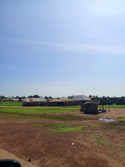 The image captures a daytime scene in Kafin Madaki A, Nigeria, featuring a cluster of residential structures and a rural landscape. In the foreground, a dirt path dominates the lower portion of the frame, interspersed with patches of green grass. A small, dark object, possibly a stone or a piece of debris, is visible on the dirt path.

Moving towards the mid-ground, a collection of houses with corrugated metal roofs and brick or mud walls are situated on a grassy field. Some of these structures appear to be in various states of completion or repair. To the right of the houses, a makeshift shelter made of wooden poles and stacked wood is present, with a small puddle of water nearby.

In the background, more buildings and trees are visible, extending into the distance under a clear blue sky. The overall impression is that of a developing or rural community. The scene is devoid of any visible human presence or activity.
