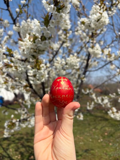 A hand holds a red Easter egg with gold lettering and a cross against a background of a blossoming tree and a blurred, green-and-brown landscape. The sky is visible between the branches and is a clear, bright blue. The setting appears to be outdoors, likely in Topola Municipality, Serbia.