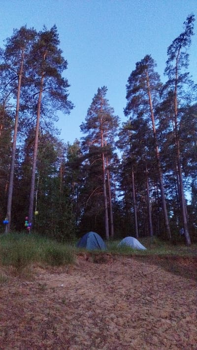 The image depicts a twilight scene in a forest clearing near Orekhovo, Russia. Two tents are pitched on a grassy embankment overlooking a sandy area. Tall pine trees dominate the background, their silhouettes stark against a fading blue sky. Several colorful balloons are visible in the upper left portion of the image, hanging from a tree. The ground is covered with dry leaves and sparse vegetation. The overall impression is one of a serene, natural setting at the close of day.