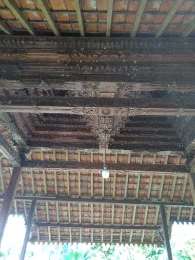 This image depicts the underside of an elaborate, multi-layered wooden and tiled roof structure located in Dulce Nombre de Jesús, Costa Rica. The ceiling is characterized by dark, heavily carved wooden beams and panels displaying intricate patterns and decorative elements. Multiple horizontal wooden beams span the view, featuring geometric and organic carvings. Above these carved sections, rows of exposed terracotta roof tiles are visible, supported by lighter-colored wooden or metal battens. A single white, bulb-shaped light fixture hangs from a wire in the lower-central portion of the image, suspended from one of the carved wooden beams. Towards the bottom of the frame, out-of-focus green foliage is visible, suggesting an outdoor or semi-outdoor setting beneath the structure. No individuals are present in the scene.