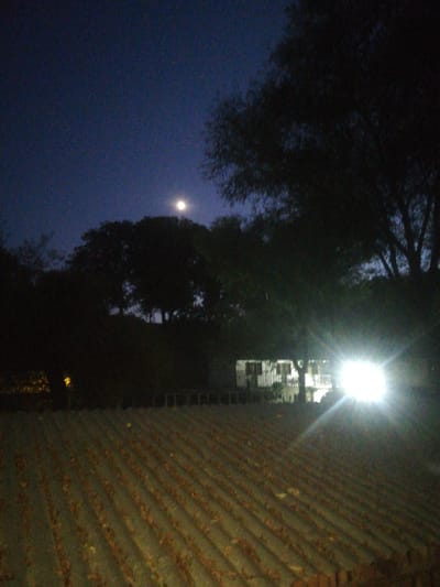 The image depicts a nighttime scene, likely in a rural or suburban setting, with a clear, dark blue sky. A bright full moon is visible in the upper left quadrant of the sky. Silhouetted against the sky are several trees with dense foliage, and in the distance, a building with illuminated windows and a bright light source is visible. In the foreground, a corrugated metal roof, covered with scattered leaves, occupies the lower portion of the image. The scene has a somewhat eerie and tranquil atmosphere due to the low light conditions and the presence of the moon. The location in the city of Tmogvi, Georgia is not discernible from the visual information provided in the image.