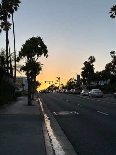 The image depicts a street scene in Laguna Beach, United States of America, during what appears to be either sunrise or sunset. The sky is a gradient of light blue at the top, transitioning to a warm yellow-orange hue towards the horizon. Several palm trees are visible on the left side of the image, with their fronds silhouetted against the sky. A single, more prominent tree stands on the sidewalk to the left of the road, its branches reaching upwards.
The road itself is paved and features lane markings. A line of cars is traveling on the road, indicating moderate traffic. The cars are diverse in make and model, and they are all facing the same direction. On the right side of the road, more trees and some buildings are visible, partially obscured by foliage.
The sidewalk on the left is paved with concrete. There is a distinct line of light reflecting off the wet surface of the curb and gutter area along the sidewalk, suggesting recent rain or watering. In the distance, traffic lights are visible, indicating an intersection. The overall impression is a typical urban street scene bathed in the soft light of dawn or dusk.