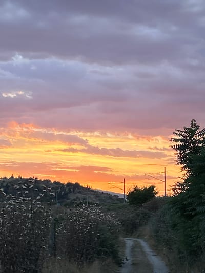 The image captures a dramatic sunset over a rural landscape. The sky is ablaze with vibrant hues of orange, yellow, and pink, interspersed with soft, muted purples and grays. Wispy clouds stretch across the horizon, catching the last rays of the sun.
In the foreground, on the right side of the image, a dirt path winds its way through overgrown vegetation and trees. The foliage is dense and wild, with a mix of green leaves and dry, lighter-colored grasses. Silhouetted against the bright sky are two utility poles with wires, suggesting the presence of electricity infrastructure in the area.
The overall mood is one of natural beauty and tranquility, amplified by the warm, glowing light of the setting sun. The scene evokes a sense of peace and perhaps a touch of melancholy as day transitions into night. The location, identified as Marino pole, Bulgaria, suggests an outdoor setting, possibly a rural road or hiking trail. There is no visible text in the image.