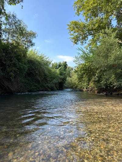 A picturesque view of a shallow, clear river flowing through a natural setting, likely in the Mevoot HaHermon Regional Council, Israel. The riverbed is visible through the transparent water, revealing a bed of smooth, multi-colored pebbles and rocks. Ripples on the water's surface create a dynamic pattern of light and shadow. The river is bordered by lush green vegetation, with trees and dense foliage lining the banks. The vibrant green of the leaves suggests a warm season. Above the trees, a clear blue sky is visible, with a few wispy white clouds. The overall impression is one of tranquility and natural beauty, suggesting a peaceful outdoor scene during the daytime, possibly in the late morning or early afternoon given the bright sunlight. There is no visible text in the image.
