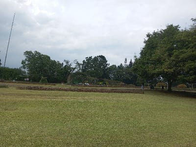 A wide shot reveals a verdant lawn extending towards a row of garden beds and trees. The sky is overcast. A tall, thin structure rises on the left. A large tree dominates the right side of the frame, partially shading a small group of people. The garden beds are bordered with dark edging. The background is filled with various trees and shrubs, creating a dense backdrop.