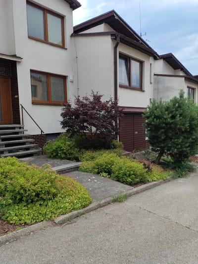 The image shows the exterior of a modern residential building, likely a townhouse, with a grey asphalt driveway in the foreground. To the left, a set of concrete stairs leads up to a brown door. There are two windows on the upper floors, both with brown frames and blinds. The exterior walls are plastered and white. Lush green bushes and a small, dark red leafy tree are planted in front of the building. To the right, a brown sectional garage door is visible, with a large, bushy evergreen tree to its right. The scene is set against a cloudy sky. The location is identified as Hluboká nad Vltavou, Czechia, suggesting a suburban or residential setting within the town.