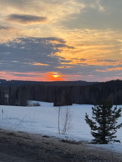 A landscape scene depicts a sunset over a snow-covered area, possibly a field or body of water. The sky is filled with clouds, showing a color gradient from orange to grey. A dark treeline sits between the sky and the snowy ground. A few trees are visible in the foreground near the edge of the snowy area. A hill or embankment is in the lower right corner. There is no indication that the location is in the city of Samolet, Russia. There is no evidence of people, subjects, actions, or interactions.