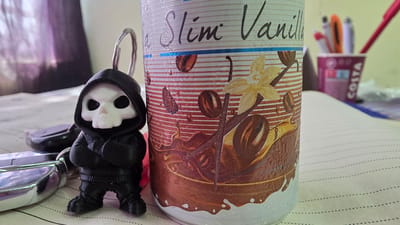 This close-up image, set in Valchi Dol, Bulgaria, depicts a collection of everyday items arranged on what appears to be a desk or table. In the immediate foreground on the left, a unique black keychain figure stands upright. This stylized character features a white skull head peering out from under a black hooded cloak, with its arms crossed. The figure exhibits a distinct 3D-printed texture. To its left, a partial view of a set of keys with a metallic, chrome finish is visible.

To the right of the keychain, a tall, cylindrical beverage can dominates a significant portion of the frame. Its label is intricately designed with illustrations of coffee beans, delicate vanilla flowers and pods, and a swirling splash of dark brown liquid, likely representing chocolate or coffee. The text "Slim Vanilla" is clearly printed on the top part of the label. Small water droplets are visible on the can's surface, suggesting it holds a chilled drink.

The background is softly blurred, revealing more of the indoor setting. A purple cup, serving as a pen holder, is partially visible, with the "COSTA" logo clearly readable on its side. Several colorful writing instruments, including red, orange, and grey pens, are housed within the cup. The surface beneath these objects appears to be a lined notebook with dotted guidelines. The lighting suggests it is daytime, possibly with natural light illuminating the scene. No people are present, and the overall impression is one of a paused moment in a casual work or personal space.