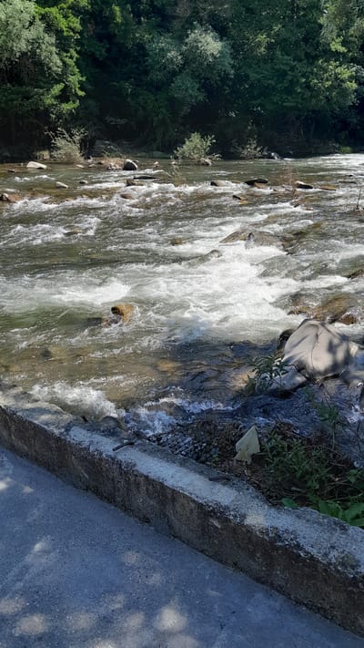 The image shows a river flowing through a natural environment. In the foreground, there is a concrete embankment and a paved surface, possibly a road or pathway, with shadows cast by unseen foliage. The river itself is shallow and rocky, with clear water flowing over submerged stones and creating small rapids. The banks of the river are covered in dense green trees and vegetation. The overall scene depicts a serene, natural landscape with signs of human infrastructure at the edge. This location is identified as Leshnitsa, Bulgaria.