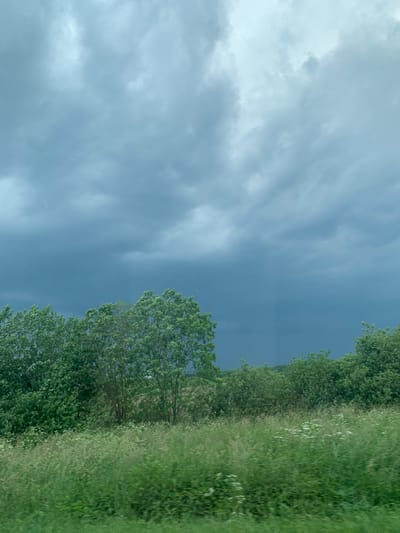 The image depicts a natural landscape under a cloudy sky. In the foreground, a field of green grass, interspersed with small white flowers, stretches across the bottom half of the frame. Behind the field, a dense line of trees forms the middle ground, with lush green foliage. The trees vary in size and density, with some appearing taller and more established than others. The sky above is filled with heavy, dark gray clouds, suggesting an overcast or approaching storm. A faint, lighter patch is visible in the sky towards the right, possibly indicating a break in the clouds or a distant light source. No people or man-made structures are visible in the image. The overall impression is one of a serene, natural environment with a sense of impending weather. This scene is located in Слабада-Кучынскі сельскі Савет, Belarus.