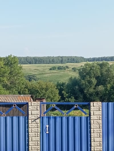 A clear, bright sky dominates the upper portion of the image, transitioning into a distant, tree-lined horizon with a vast, green field in the foreground. In the mid-ground, a dense forest of varying shades of green trees forms a backdrop. Closer to the viewer, a blue corrugated metal fence with decorative diamond-shaped accents topped with rings runs horizontally across the lower half of the frame. The fence is supported by brick pillars. To the left of the fence, a portion of a structure with a corrugated roof is visible. The scene appears to be an outdoor setting in a rural or semi-rural area, possibly a backyard or property boundary in Новокопылово, Russia, on a sunny day.