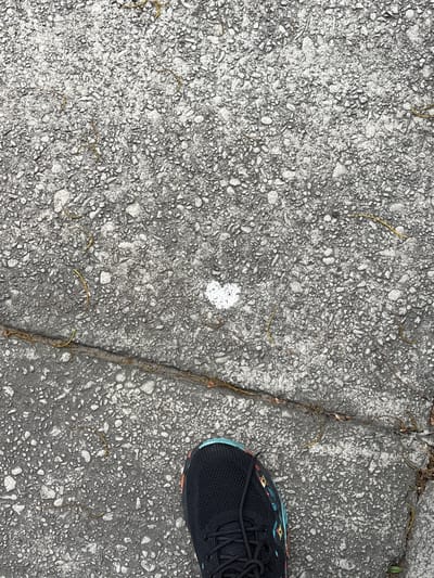 The image depicts a section of asphalt pavement, likely a sidewalk or street surface. The asphalt is predominantly gray with a mix of small, light-colored stones embedded within it, giving it a mottled texture. A diagonal crack runs from the upper right to the lower center of the frame. A portion of a black athletic shoe with colorful detailing is visible in the lower right corner of the image. There are also pieces of what appear to be dead leaves and dried grass scattered across the surface of the pavement. There is a small, irregular patch of white material on the left side of the image. The environment suggests an urban or suburban setting. There is no evidence to pinpoint this image to the city of Philadelphia.