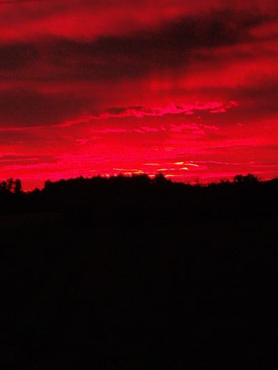 The image depicts a dramatic, deep red sky filled with layered clouds, suggesting a sunset or sunrise. The horizon is marked by a dark, silhouetted treeline, creating a stark contrast against the vibrant sky. Below the treeline, the foreground is entirely black, obscuring any ground detail and emphasizing the intensity of the sky. The color palette is dominated by shades of red, from bright crimson to darker, almost blackish hues in the clouds, with hints of yellow or orange peeking through in some areas. The overall mood is intense and awe-inspiring, possibly evoking feelings of drama or even a sense of foreboding due to the extreme color saturation. There is no visible text, people, or specific objects to identify. The scene is set in a natural landscape, possibly rural, given the silhouette of trees. The time of day is clearly either dawn or dusk, characterized by the dramatic coloration of the sky.