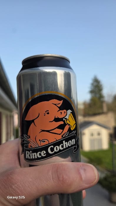 A hand holds a silver aluminum beverage can in an outdoor setting in Ottonville, France. The can features a black oval label displaying an orange cartoon pig holding a yellow beer mug with white foam. Below the pig, a black banner contains the white text "Rince Cochon". The can's top rim is black. The background is out of focus, dominated by a clear blue sky. Blurred vertical architectural elements are visible on the left side. On the right, a small, light-colored building with a dark roof is present, with a blurred evergreen tree positioned behind it. Green ground cover is also visible. A small dark spot is observable under the thumbnail of the hand. The text "Galaxy S25" is present in the lower-left corner of the image.