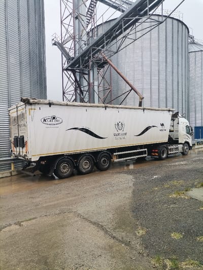 An industrial scene in Septemvritsi, Bulgaria, depicts a white semi-truck and trailer positioned at a grain storage facility under an overcast sky. The long, white trailer, bearing "K GAS OIL", "MAGIC PLANT", and "WILCON" branding in black, is backed against a loading area. Its top is partially open, with a rolled-back tarp visible at the rear. The truck's cab, identifiable as a Volvo, is partially visible at the front. Surrounding the vehicle are multiple large, corrugated metal grain silos. A central metal support structure features ladders, platforms, and a downward-sloping metal chute that extends towards the trailer, indicating a loading or unloading operation. The ground surface consists of wet asphalt and gravel, suggesting recent precipitation or an industrial environment with moisture. No individuals are visible in the scene.