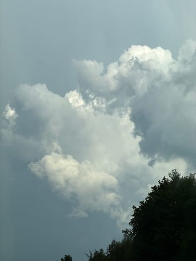 The image depicts a cloudy sky with dense, voluminous cumulus clouds in various shades of gray and white. The lighting suggests it may be late afternoon or overcast. In the lower right portion of the frame, the dark silhouette of dense foliage, likely trees and possibly a dense hedge or shrubbery, is visible, extending upwards from the bottom edge. The greenery appears dark and somewhat indistinct due to the lighting and possibly the resolution of the image. The sky dominates the majority of the frame, with no discernible man-made structures or individuals present. The overall scene is naturalistic and depicts a segment of the outdoor environment. Based on the provided crops, the image appears to have been taken outdoors, likely in a location with trees. The specific location in Großröhrsdorf, Germany, cannot be determined from the visual information alone.