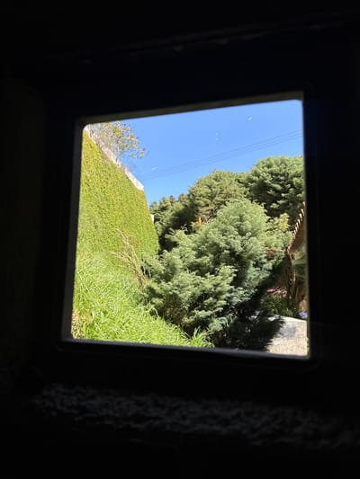 The image shows a view from within a dark interior, looking outward through a square window. The exterior view includes a bright blue sky with overhead power lines. The land slopes upward, with a wall covered in green ivy and taller green trees and bushes beyond. The foliage appears lush and well-maintained. The location in San Antonio de Galipán, Venezuela is not discernible from the image itself.